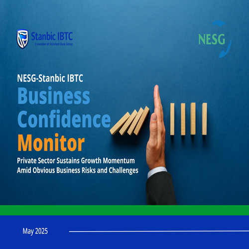 NESG, Think-Tank, NESG Nigeria, The Nigerian Economic Summit Group